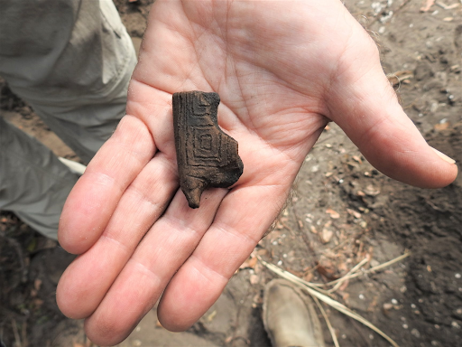 UNF Archaeology Team wraps up uncovering Timucua artifacts in local Talbot Island State Park