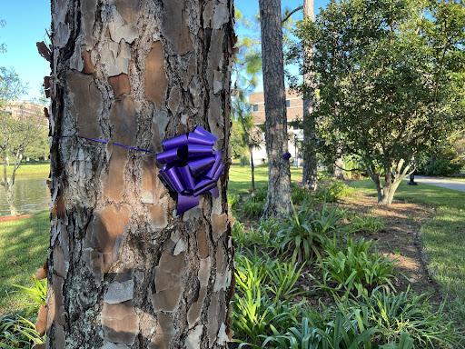  Two purple ribbons sit facing the UNF School of Business in support of Domestic Violence Month.