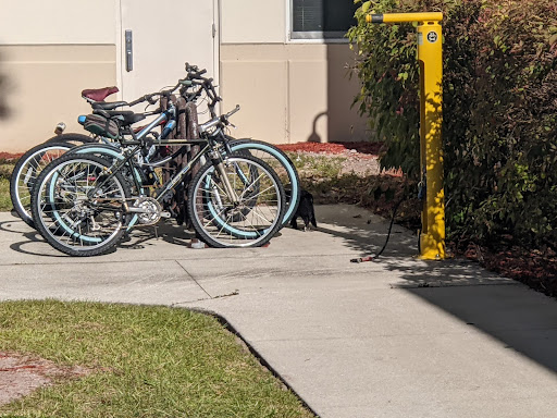 A black cat is seen hiding behind students bikes, photo by Nathan Turoff