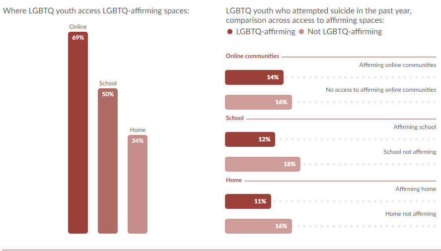 Visualization of data collected by the Trevor Project in 2021.