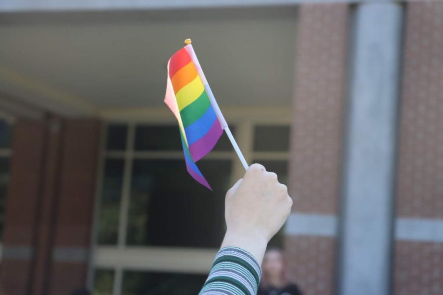 A UNF student holds up an LGBTQ flag with a fist at a protest