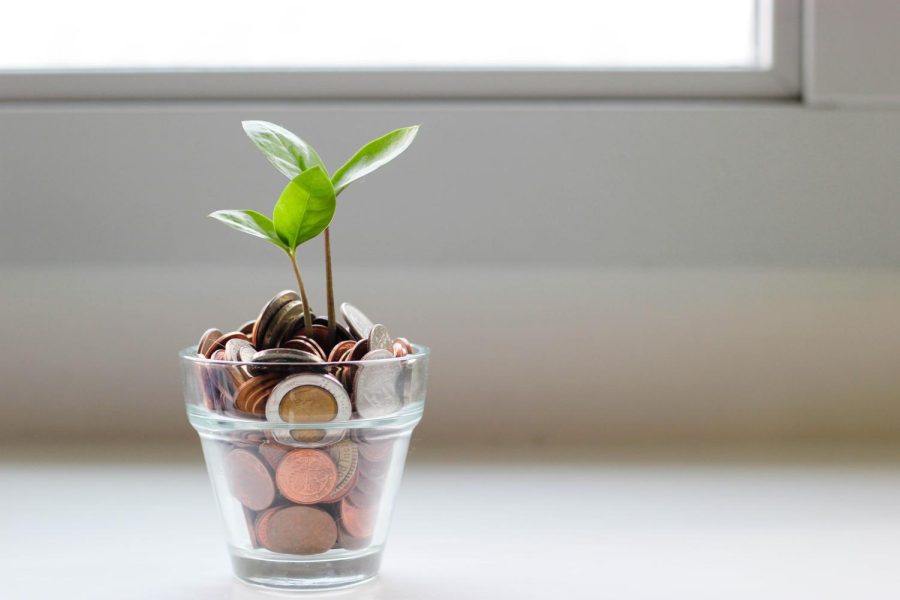 A plant grows from a jar of change