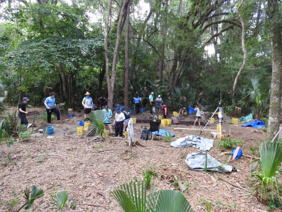 students stand and sit as they inspect the ground. around them are green trees