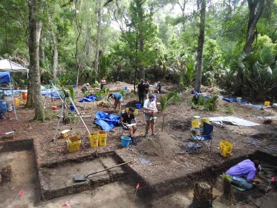 The excavation site in Big Talbot Island State Park, photo courtesy of UNF Archaeology Lab
