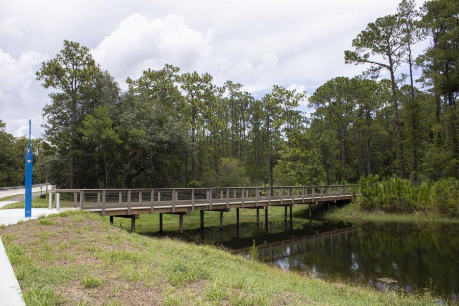 A boardwalk walkway crosses over a small pond