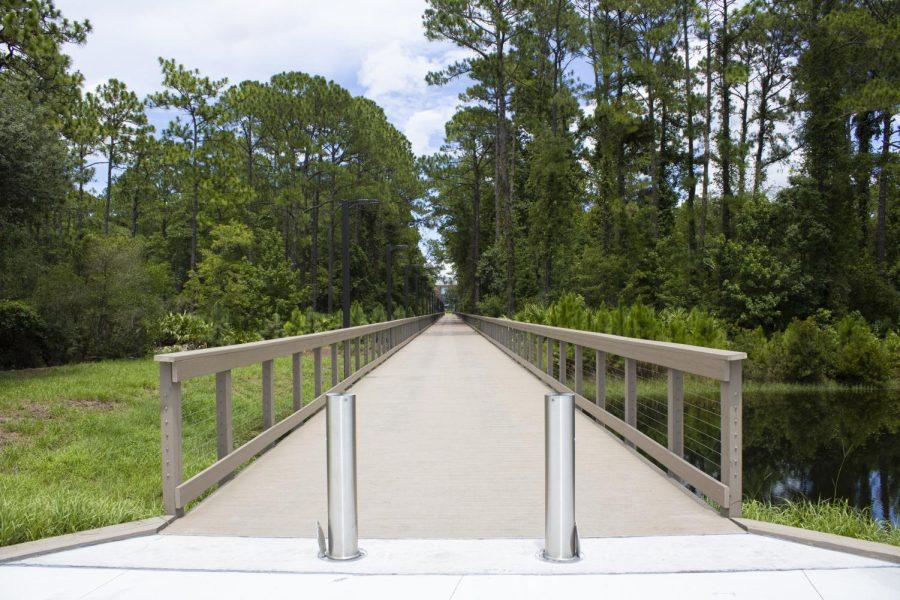 the wooden boardwalk is flanked by tall trees,. In the distance, UNF's campus can be seen