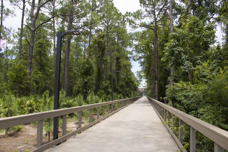 the wooden boardwalk is flanked by tall trees,. In the distance, UNFs campus can be seen