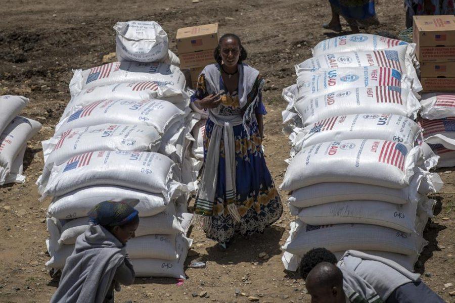 A woman stands between stacks of wheat bags