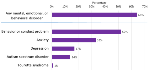 A graf showing that 64% of people with ADHD have another mental or emotional disorder