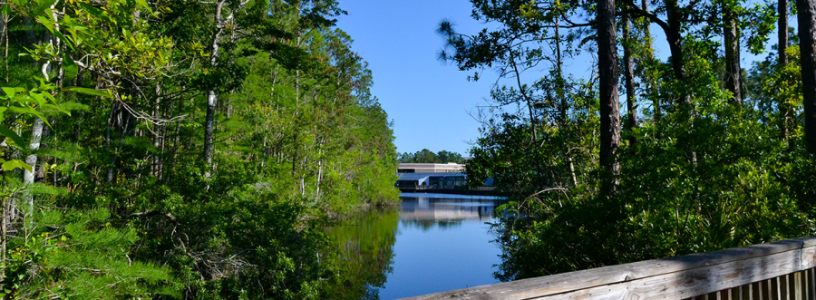 A view of Candy Cane lake from the bridge connecting university dorms with the pathway to the Dining Hall. (Photo courtesy of UNF)