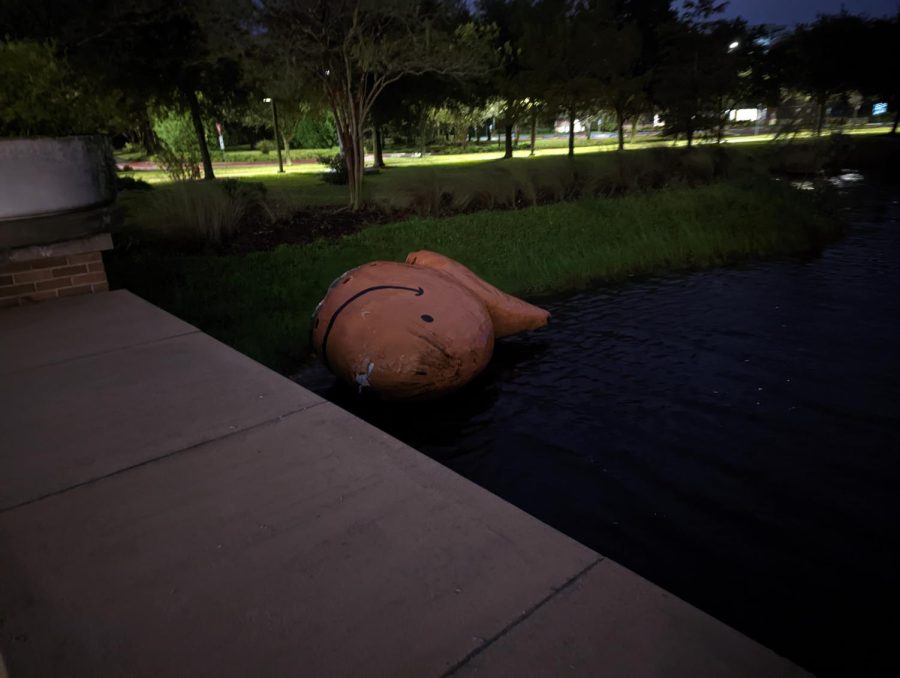 Colonel Crackers, a giant goldfish floating in the lake outside the library, on its side by shore