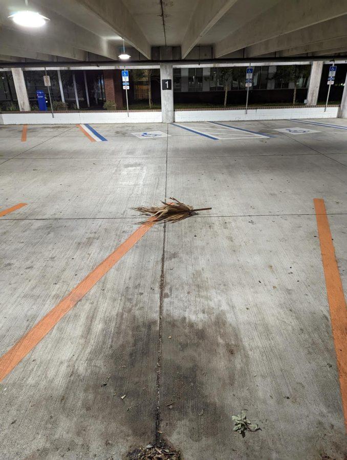 A palm frond was blown into the parking garage