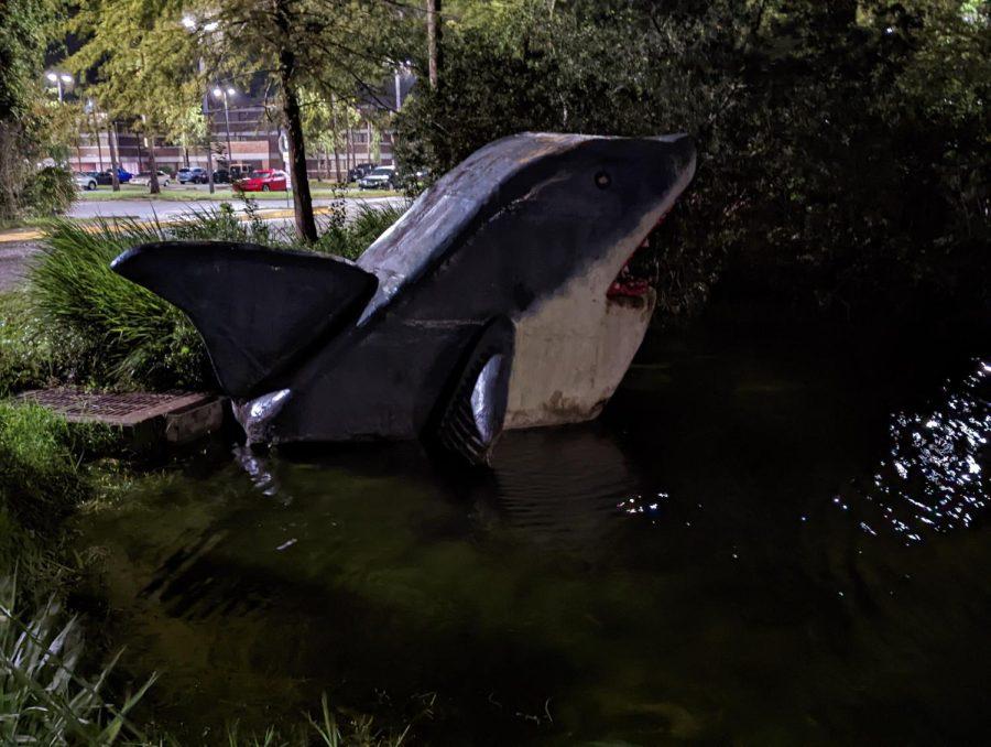 A giant sculpted Shark statue in the pond by the dining hall
