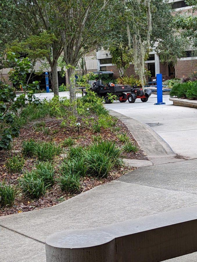 A Physical Facilities truck and employee were seen taking away a bunch of debris