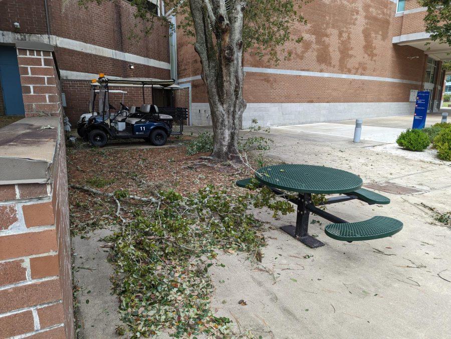 Branches down on the ground by tables