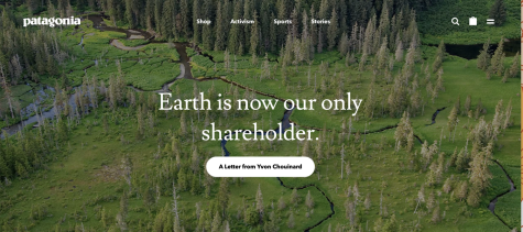 Patagonia's website homepage with text saying "Earth is our only shareholder" with a forest background