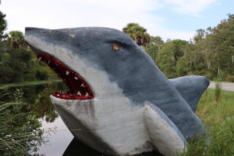 A large floating shark sculpure