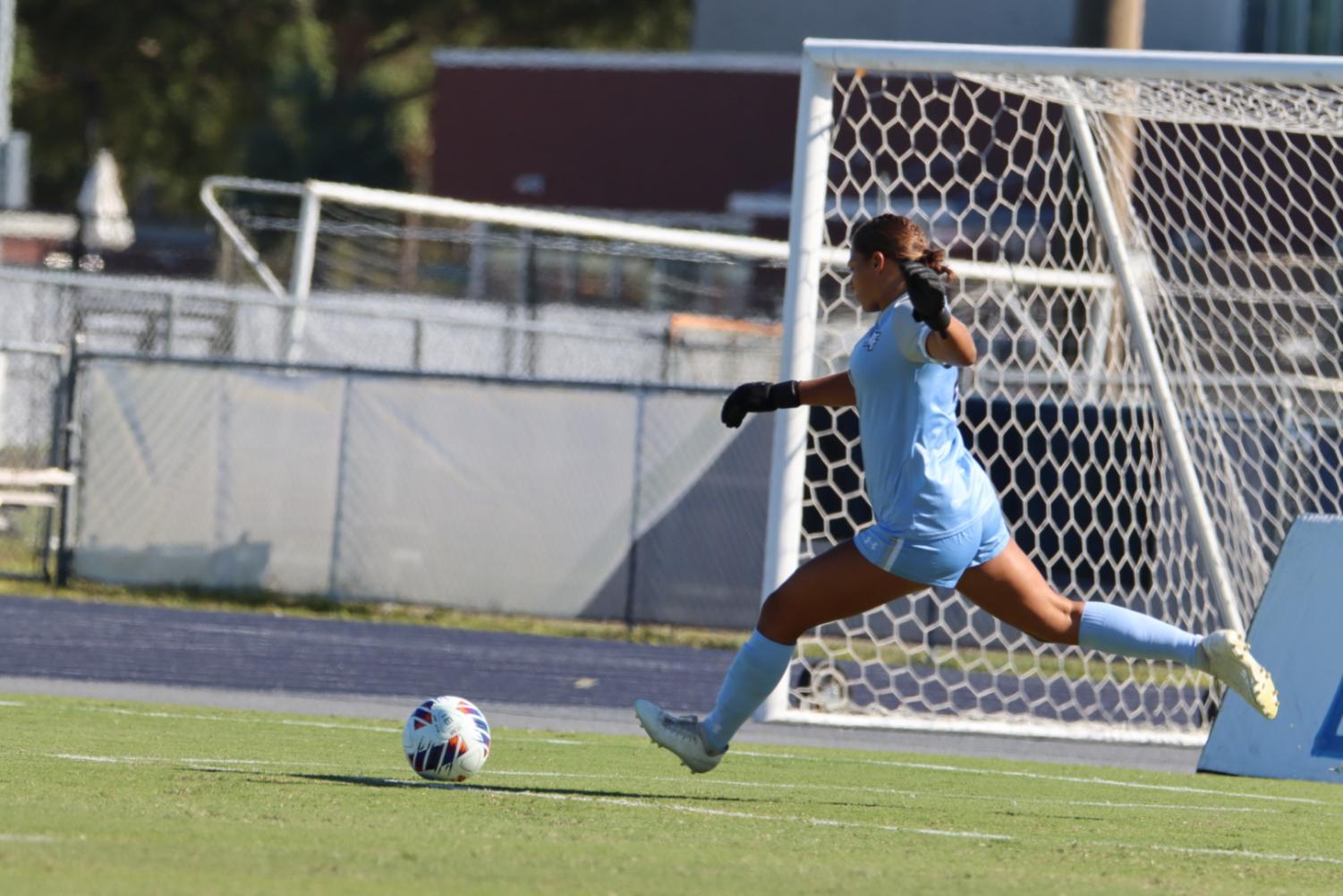 Goalkeeper prepares to clear ball