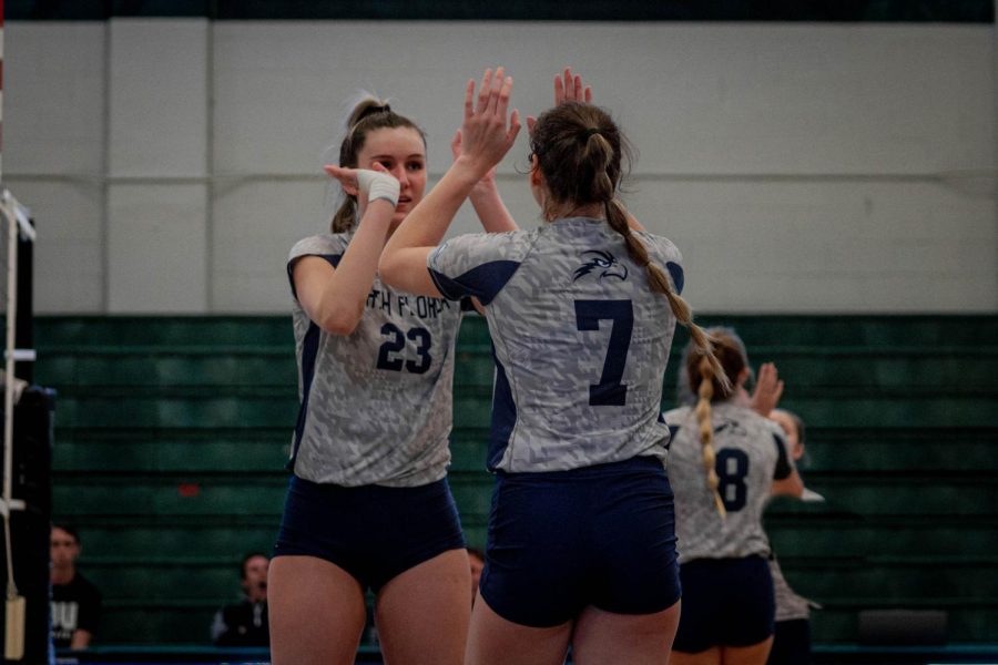 Volleyball players high-five