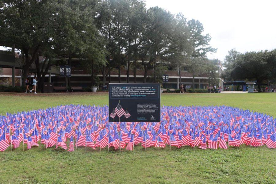 American flags on the Green honoring veterans for Veterans Day.