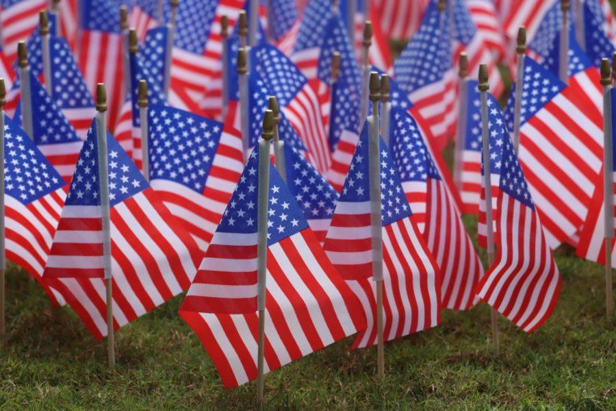 American flags on the Green honoring veterans for Veterans Day.