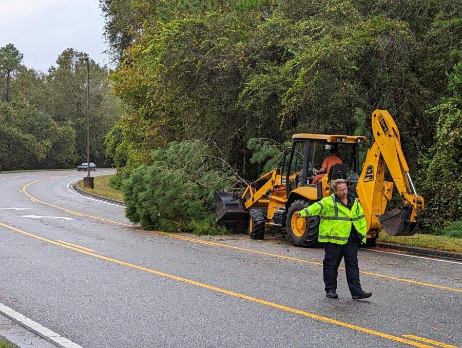  An excavator and police truck were called out to remove the tree. Photo by Nathan Turoff