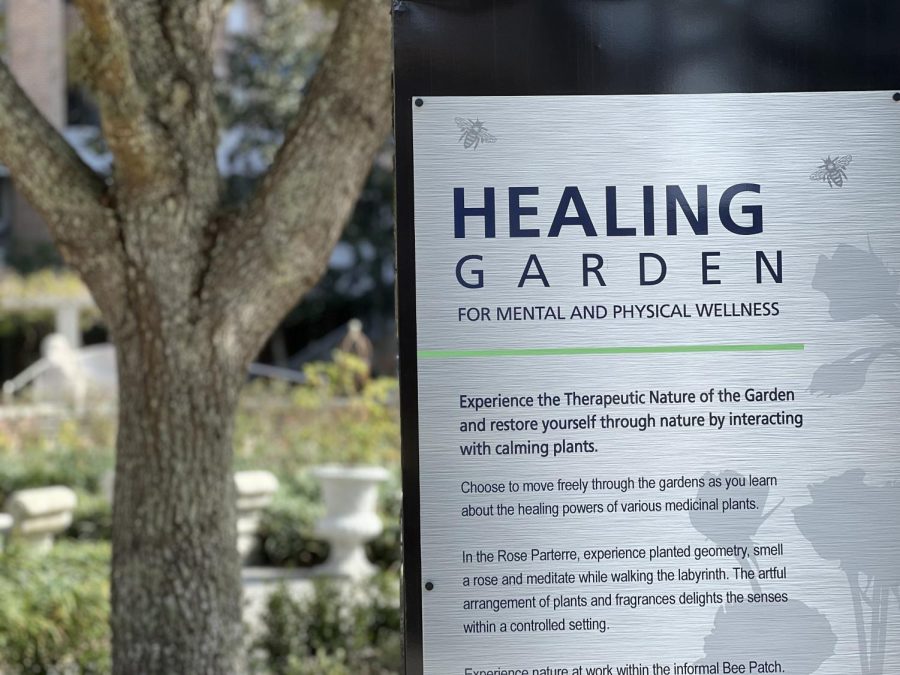 The Healing Garden