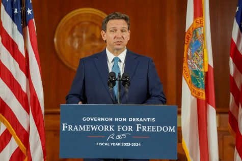 Florida Governor Ron DeSantis stands behind a podium