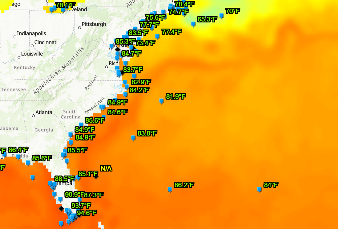 A map showing ocean temperatures along the Eastern coast of the United States