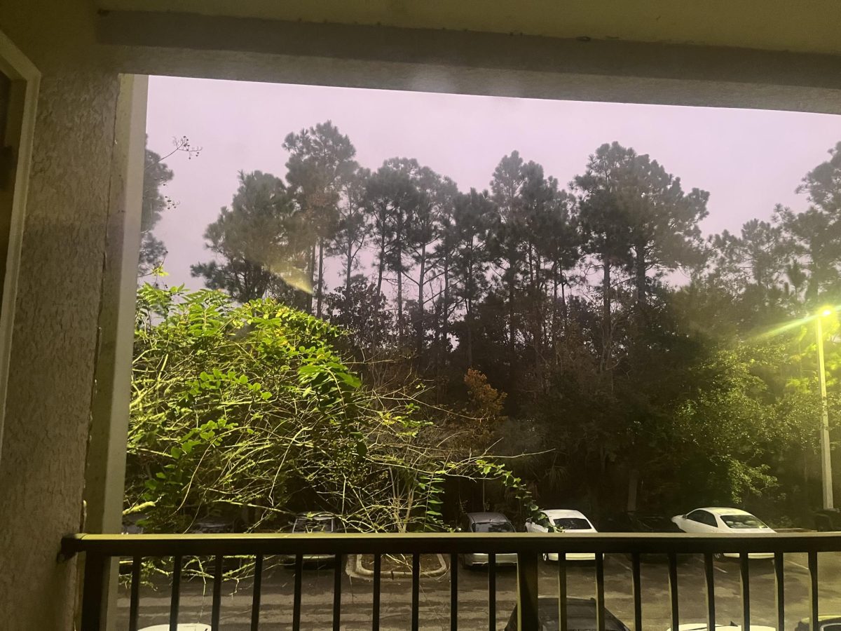 The view from an apartment balcony in the Flats at the University of North Florida.