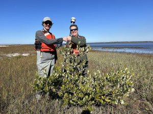 UNF biology professor Scott Jones (right) celebrates with ecologist Ches Vervaeke (left) next to the northernmost mangrove in southern Georgia. (Photo courtesy of UNF).
