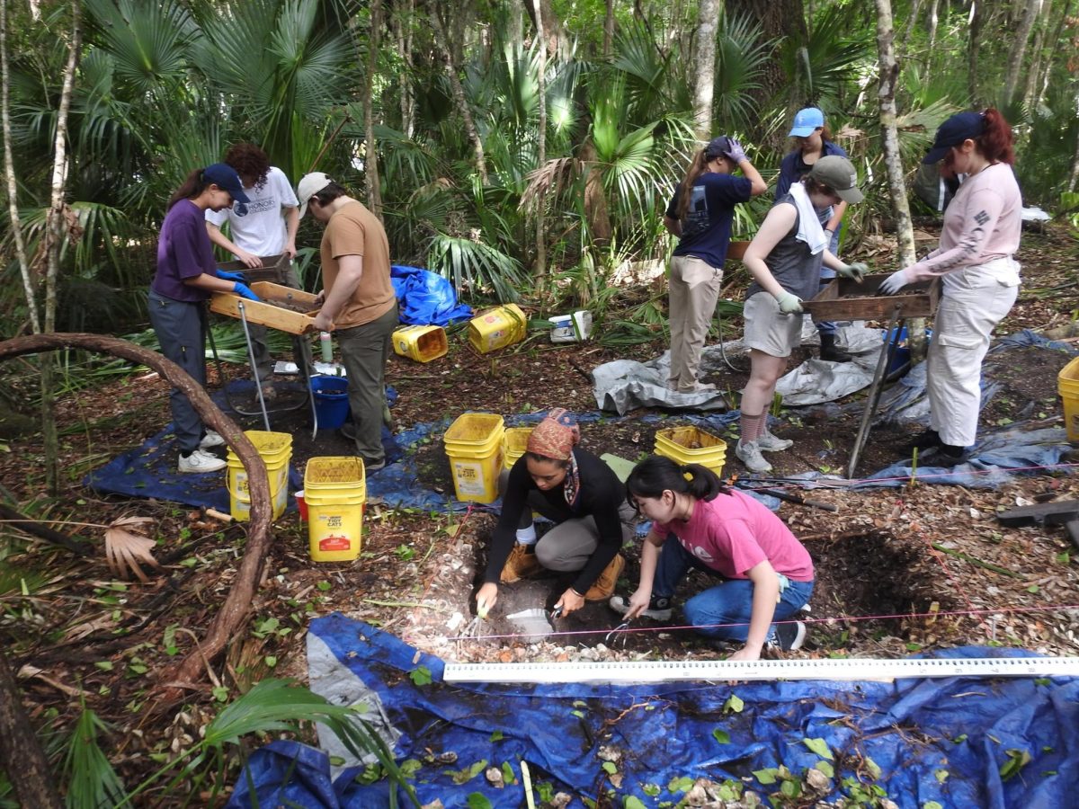 UNF archaeology students dig at Black Hammock Island