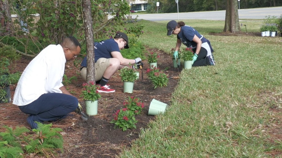 Saturday volunteers dig small holes and plant flowers near the inner part of the bioswale garden. 