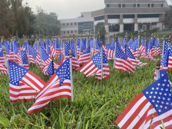 A field of small American flags in a field in front of a lake. 