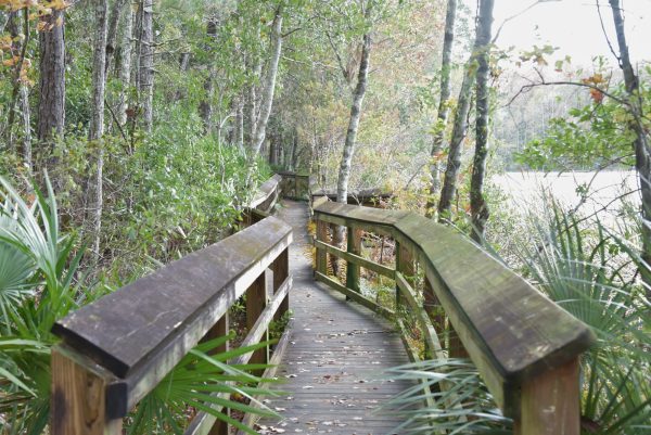 The entrance of the nature trails at UNF eco-adventure surrounded by greenery