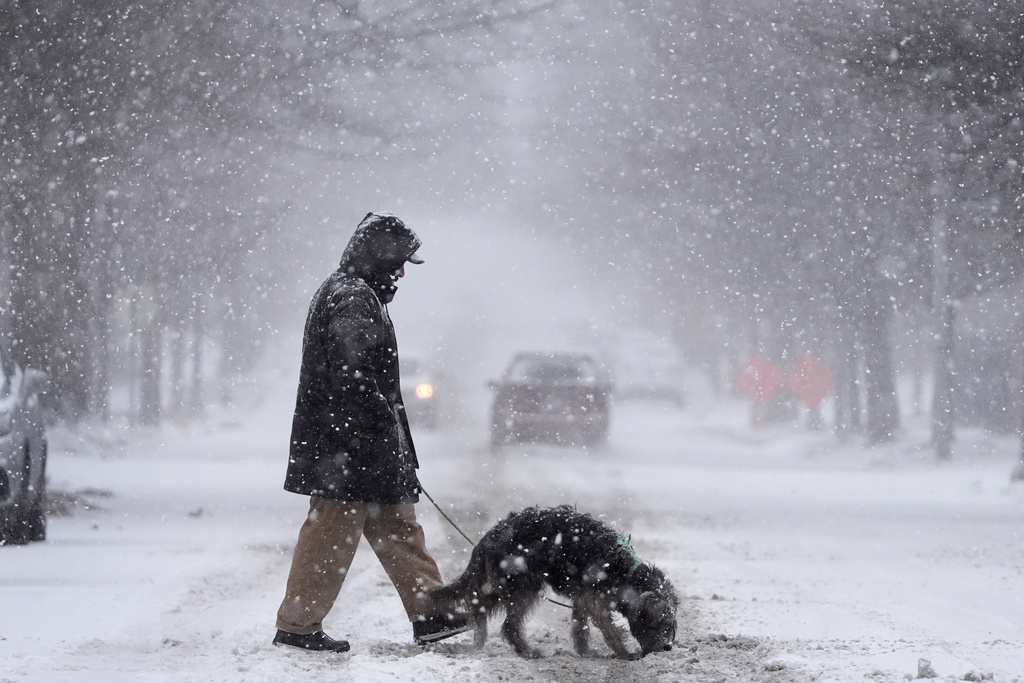 Enrique Davila crosses the street with his dog, Chula, as heavy snow falls Sunday, Jan. 5, 2025, in St. Louis. (AP Photo/Jeff Roberson)