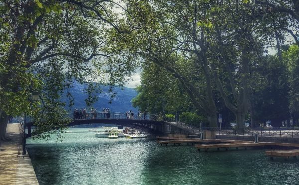 A bridge over water surrounded by trees in Switzerland.