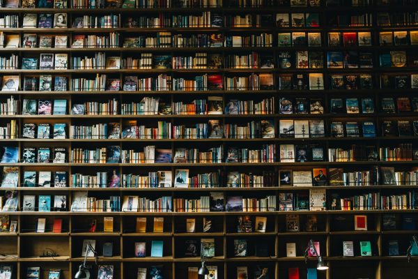 A tall and wide bookshelf across the entire frame with colorful books displayed on every shelf